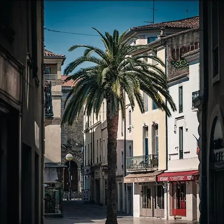Le Questel - In The Heart Of The With Balcony Apartment Nimes